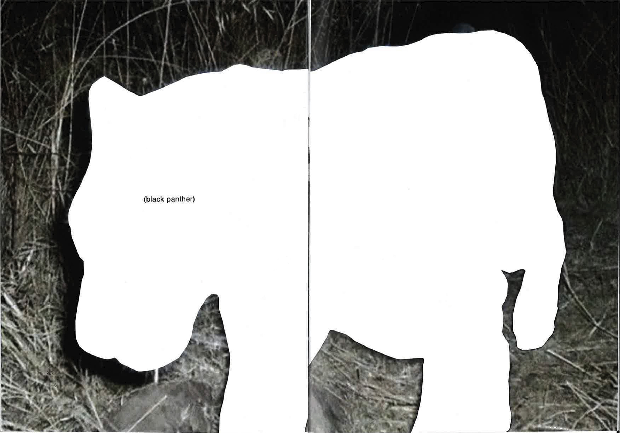 a so called (maga)zine, spread 3